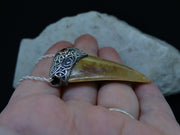 Great White Shark Tooth and Garnet Sterling Silver Pendant