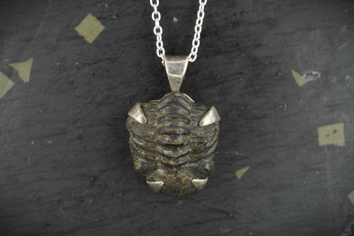 Trilobite Sterling Silver Pendant