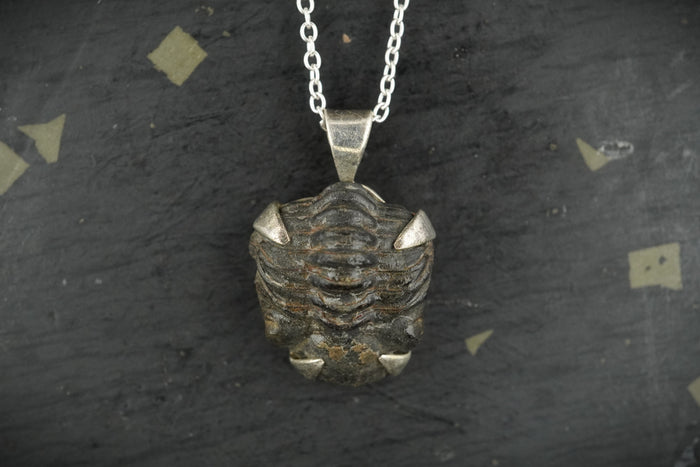 Trilobite Sterling Silver Pendant