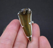 Fossilised Shark Tooth Sterling Silver Ring