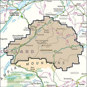 Cairngorm Quartz Sterling Silver Celtic Ring