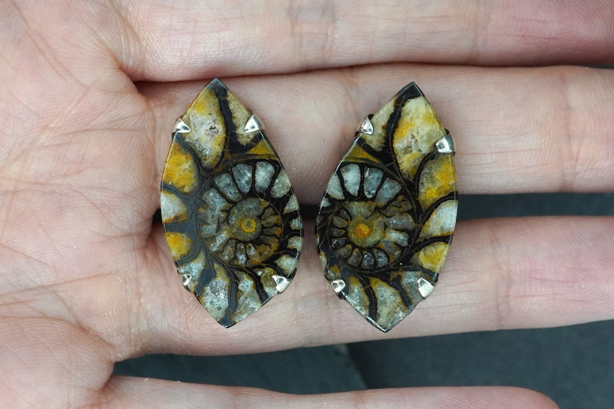 Ammonite Sterling Silver Cufflinks