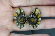 Ammonite Sterling Silver Cufflinks