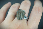 Trilobite Hammered Sterling Silver Adjustable Ring