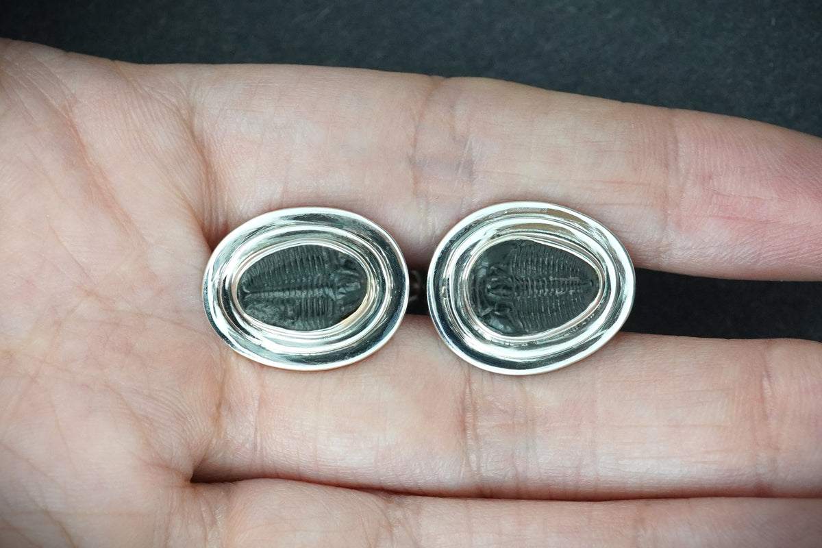 Trilobite Sterling Silver Cufflinks 10x7mm