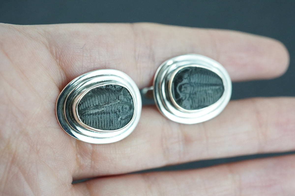 Trilobite Sterling Silver Cufflinks 12x10mm