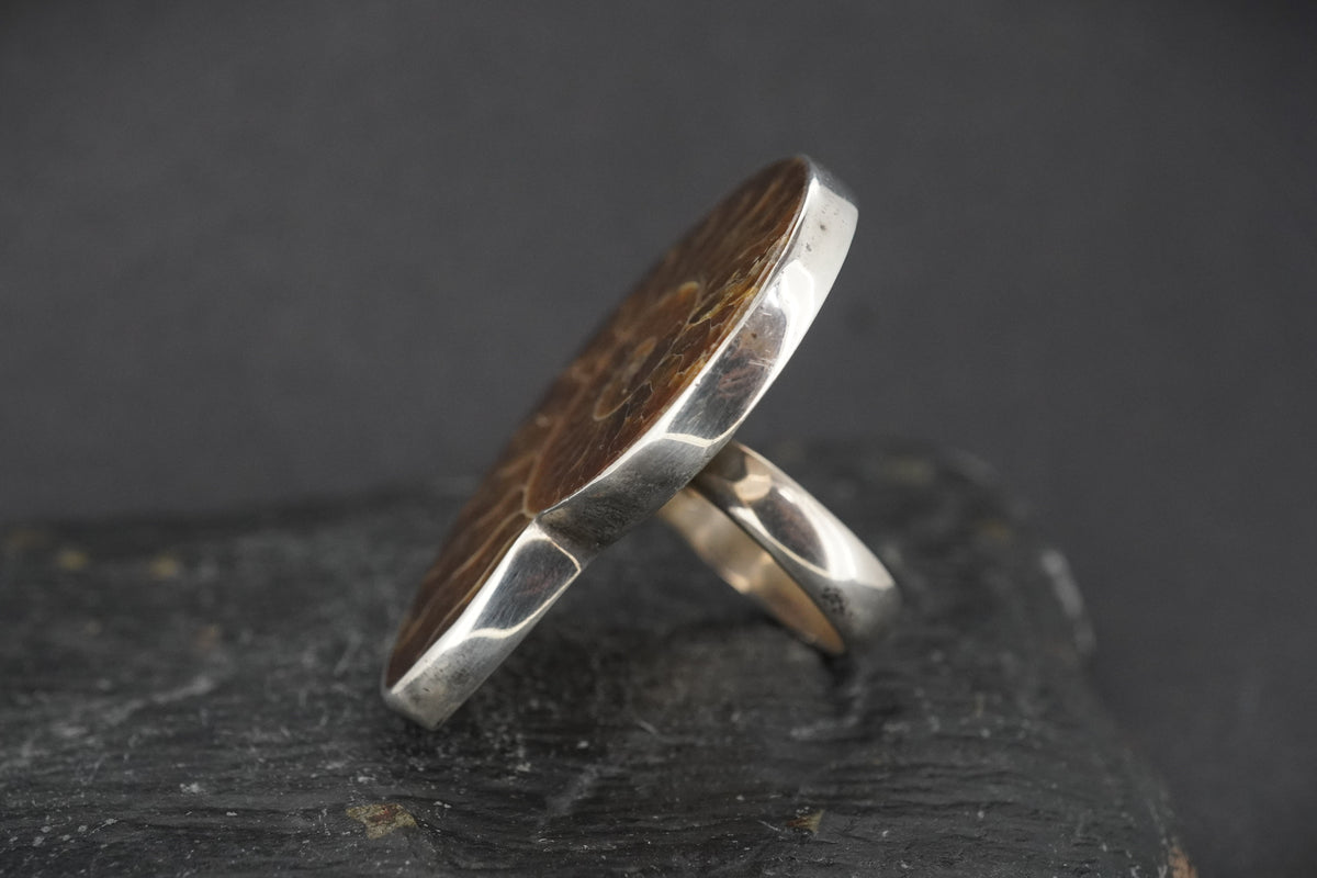 Large Ammonite Sterling Silver Ring