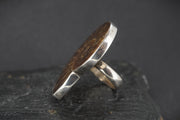 Large Ammonite Sterling Silver Ring