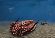 Trilobite Sterling Silver Cufflinks 8x6mm