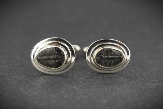 Trilobite Sterling Silver Cufflinks 10x7mm