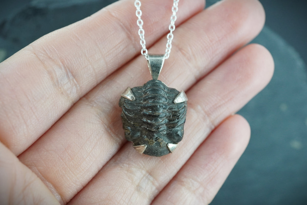 Trilobite Sterling Silver Pendant