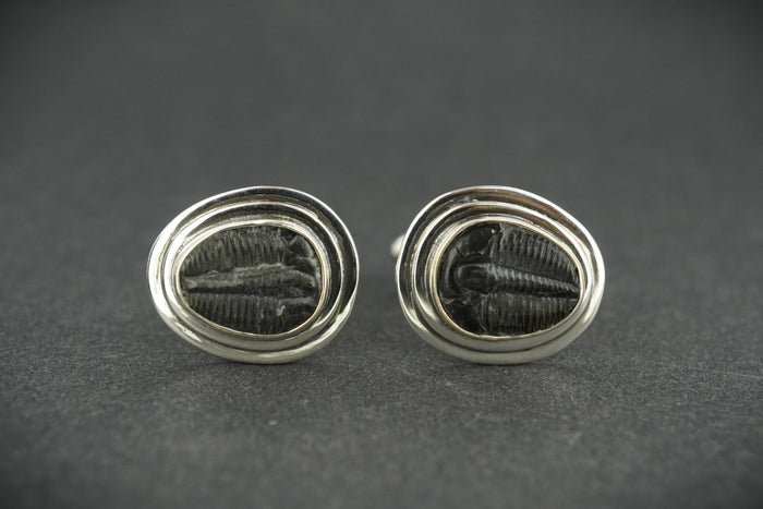Trilobite Sterling Silver Cufflinks 12x10mm