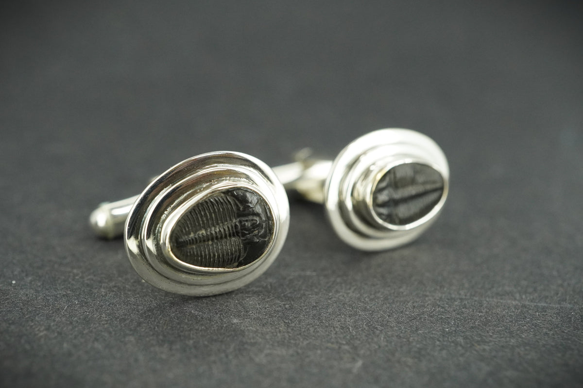 Trilobite Sterling Silver Cufflinks 10x7mm
