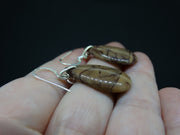 Arthur's Seat Jasper Sterling Silver Drop Earrings