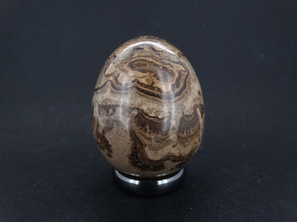 Ancient Scottish Stromatolite Egg