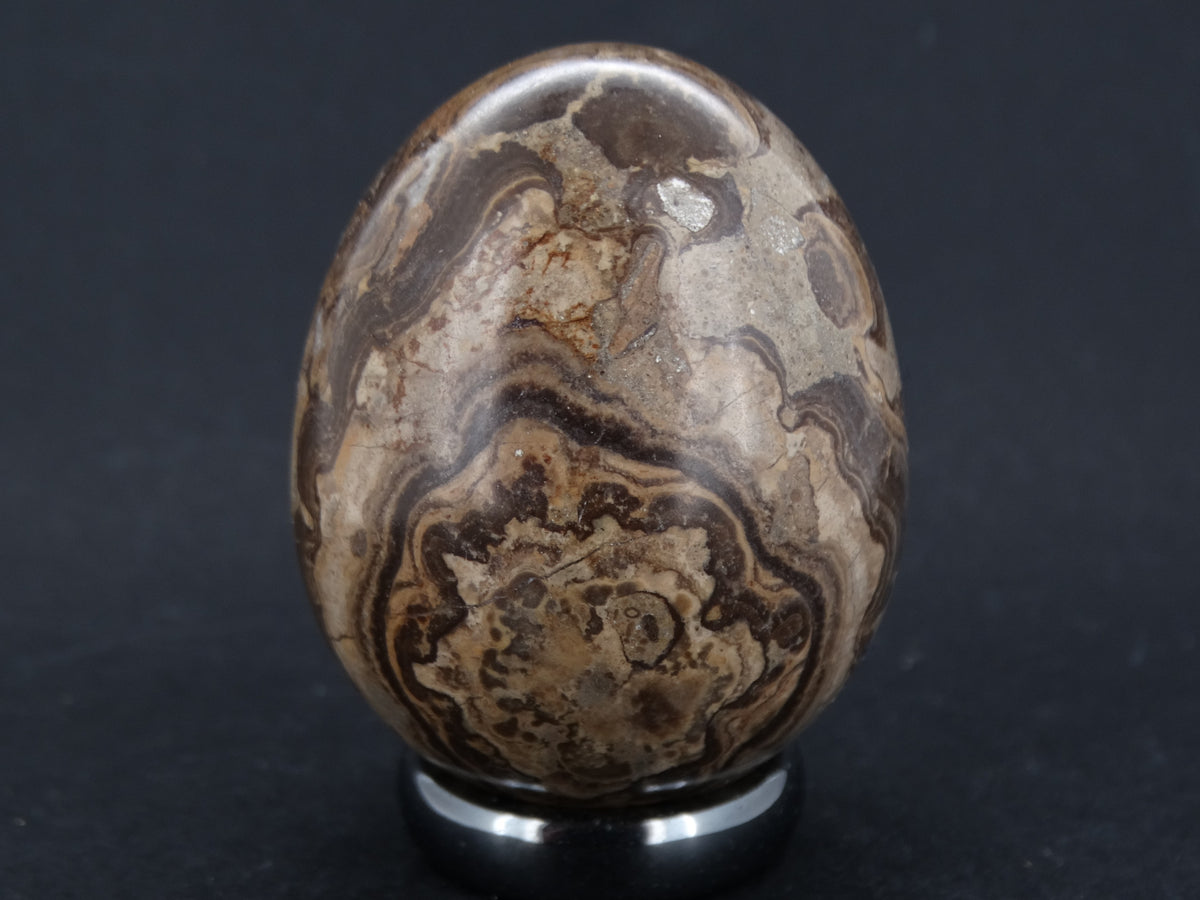 Ancient Scottish Stromatolite Egg