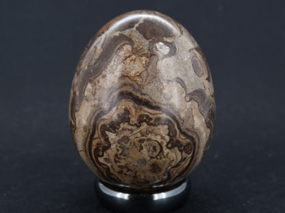 Ancient Scottish Stromatolite Egg