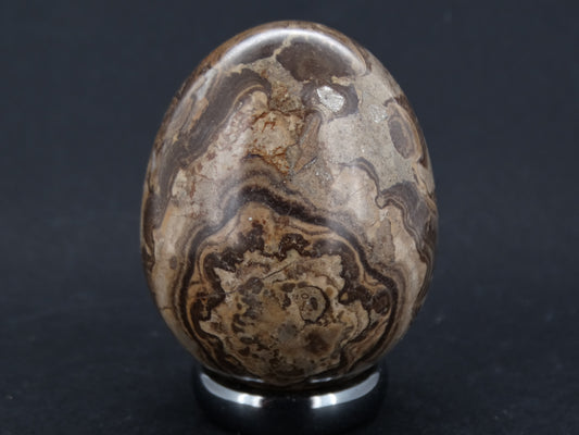 Ancient Scottish Stromatolite Egg
