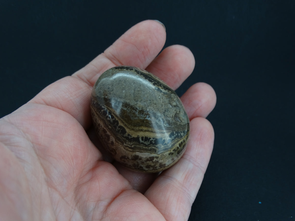 Ancient Scottish Stromatolite Egg