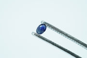 Oval Deep Blue Rare Scottish Sapphire Gemstone