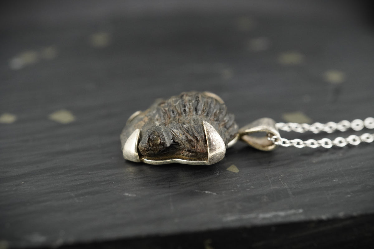 Trilobite Sterling Silver Pendant