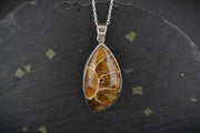 Ammonite Cabochon Sterling Silver Pendant