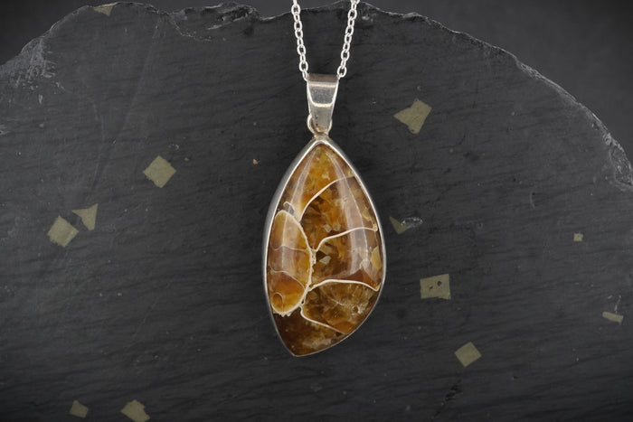 Ammonite Cabochon Sterling Silver Pendant