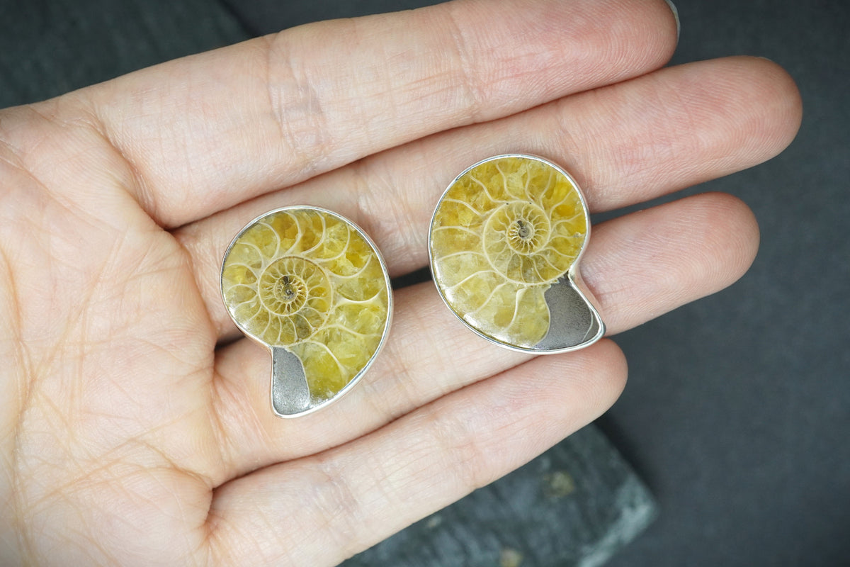 Ammonite Sterling Silver Cufflinks