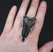 Fossilised Shark Tooth Sterling Silver Ring