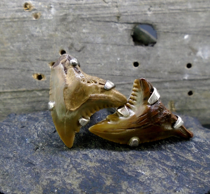 Fossilised Shark Tooth Sterling Silver Cufflinks