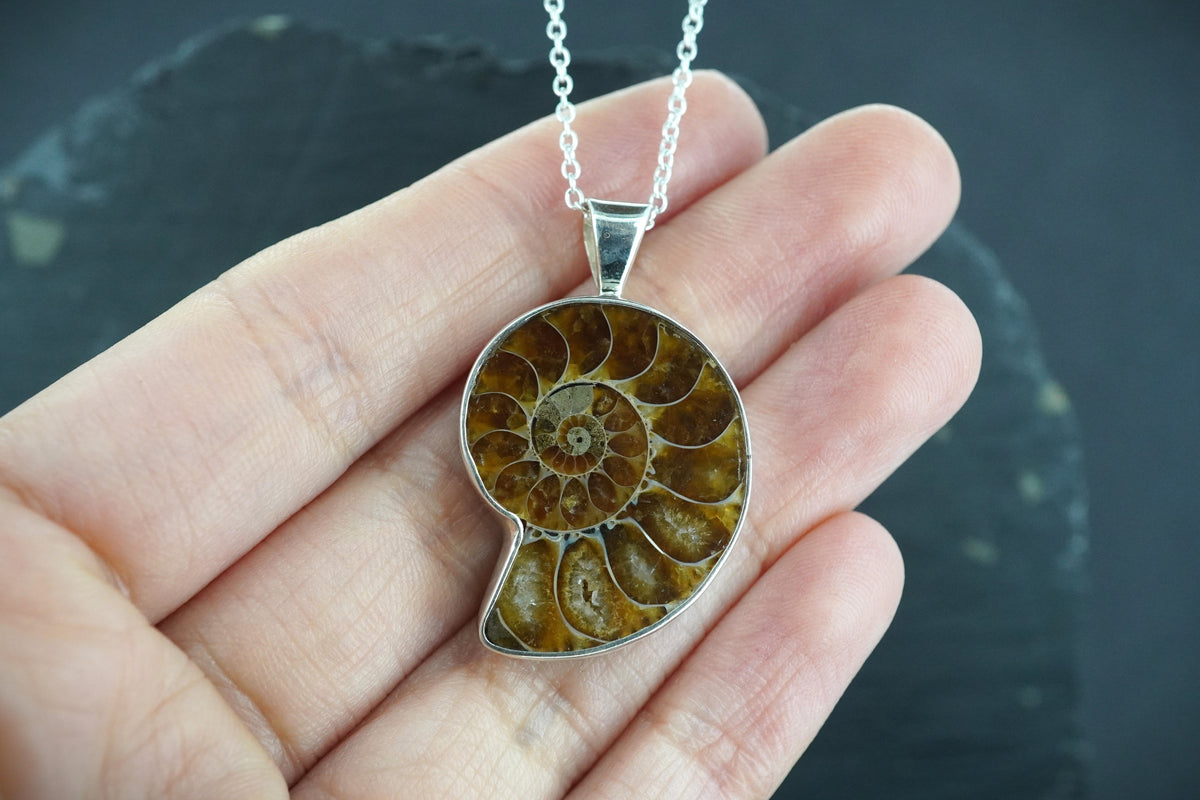 Ammonite Sterling Silver Pendant