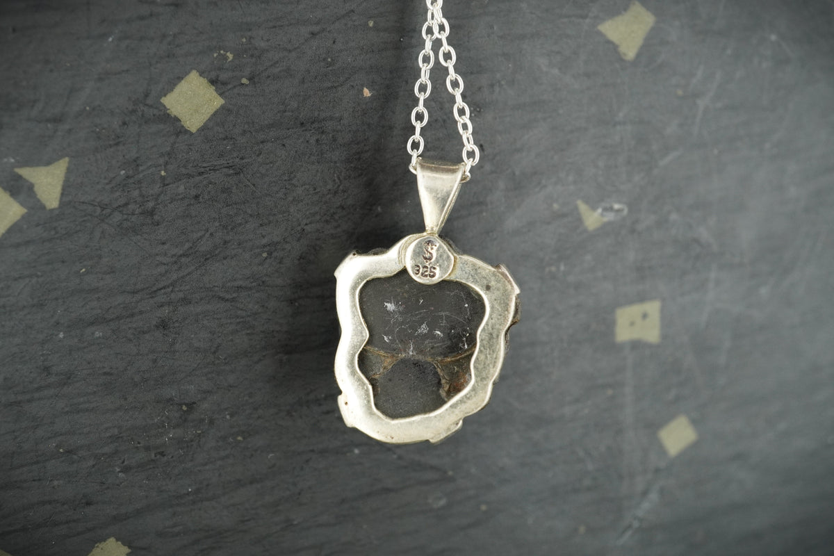 Trilobite Sterling Silver Pendant