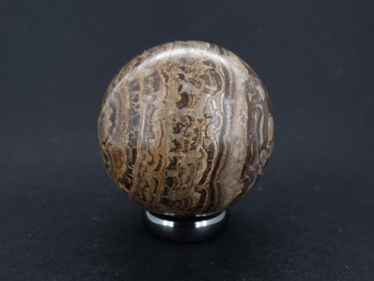 Ancient Scottish Stromatolite Carved Sphere