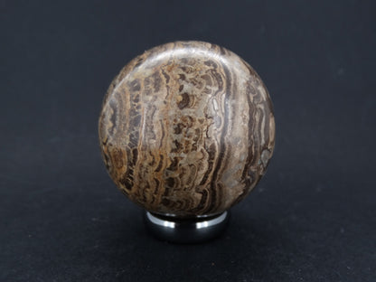 Ancient Scottish Stromatolite Carved Sphere