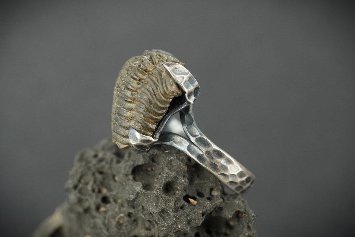 Trilobite Hammered Sterling Silver Adjustable Ring