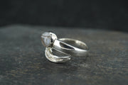 Scottish Ardownie Agate Sterling Silver Tail Ring