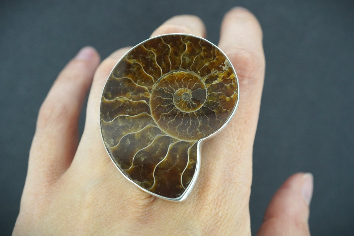 Large Ammonite Sterling Silver Ring