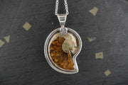 Ammonite Sterling Silver Pendant