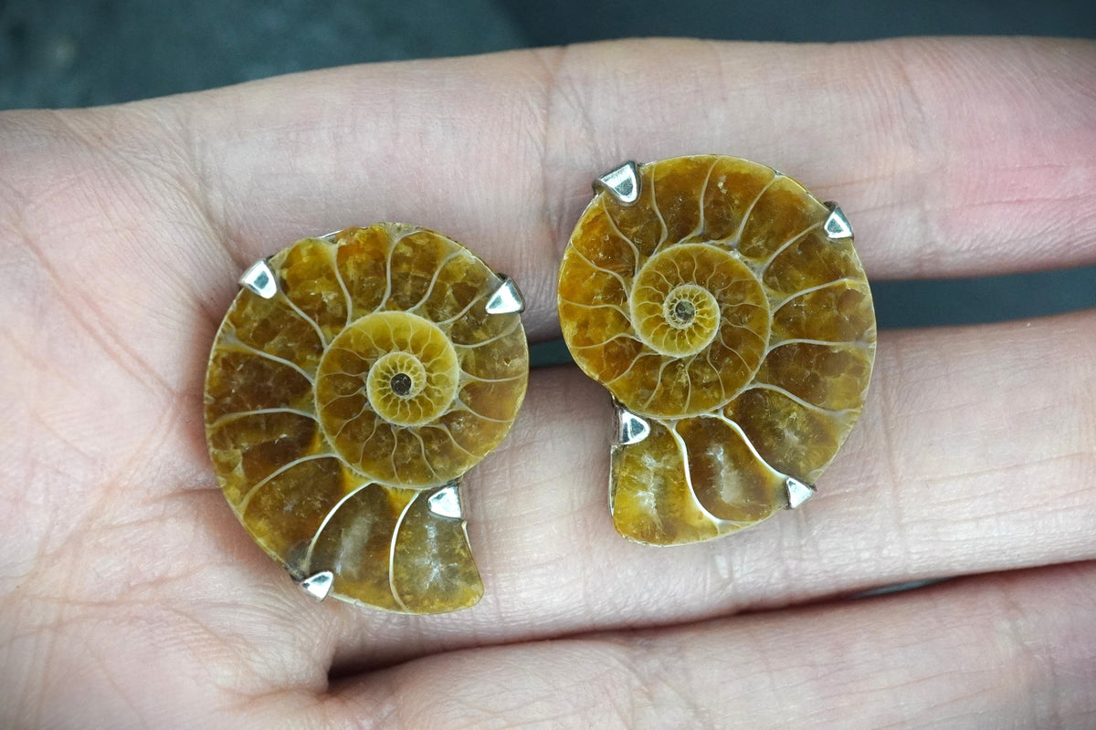 Ammonite Sterling Silver Cufflinks image 1