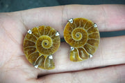 Ammonite Sterling Silver Cufflinks image 1