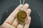 Honey Calcite Ammonite Sterling Silver Pendant image 1