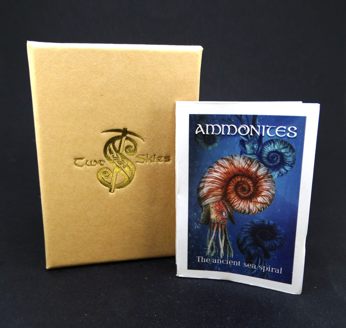 Ammonite Sterling Silver Pendant