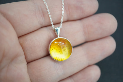 Amber Sterling Silver Round Pendant