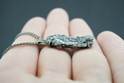 Meteorite Sterling Silver Long Pendant