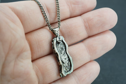 Meteorite Sterling Silver Long Pendant