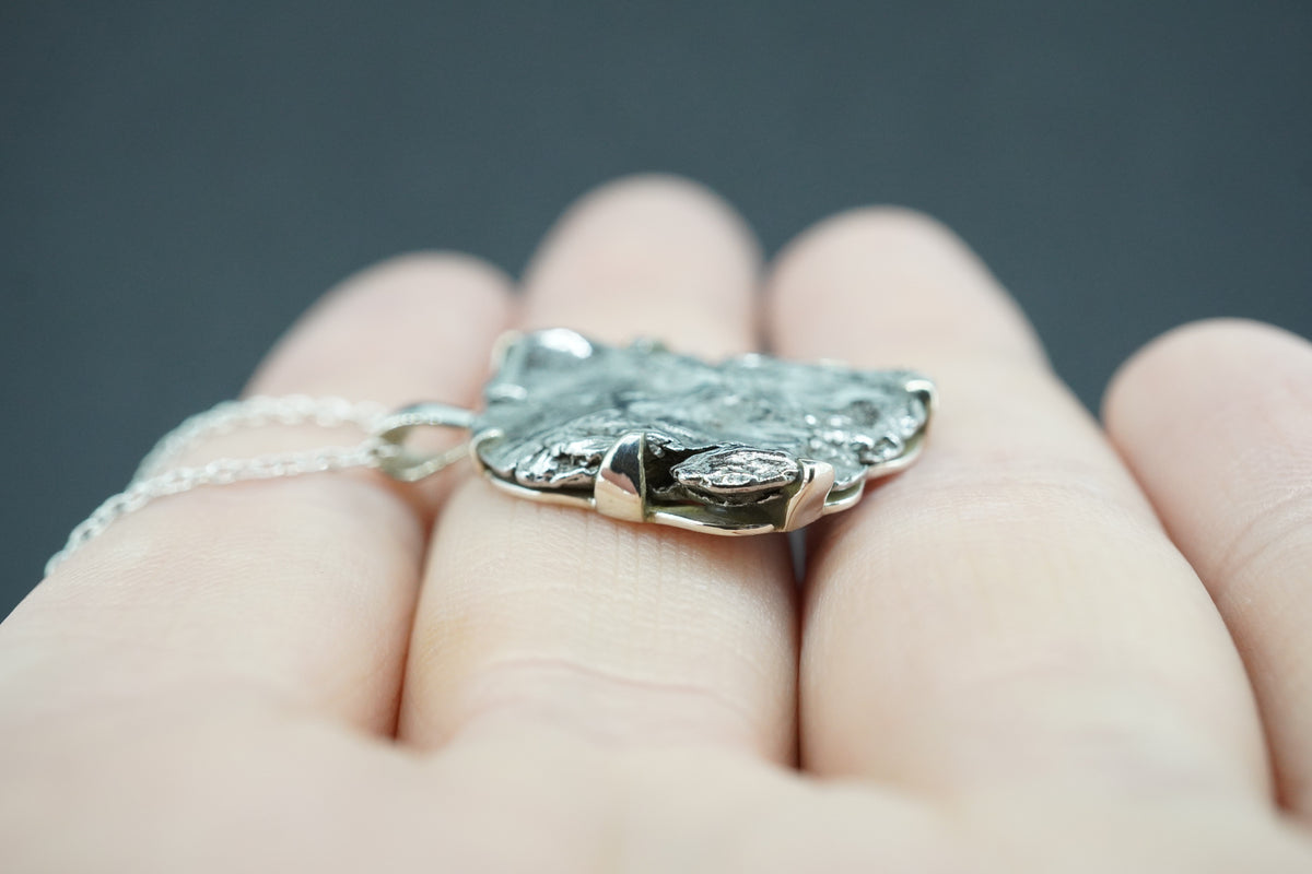 Meteorite Sterling Silver Medium Pendant