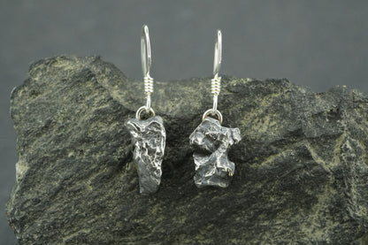 Meteorite Sterling Silver Small Drop Earrings