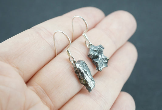 Meteorite Sterling Silver Small Drop Earrings