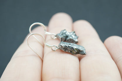 Meteorite Sterling Silver Small Drop Earrings
