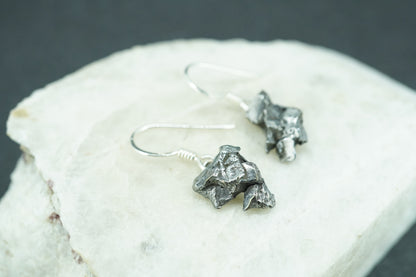 Meteorite Sterling Silver Drop Earrings
